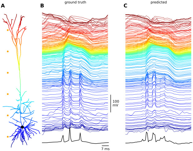 Figure 10