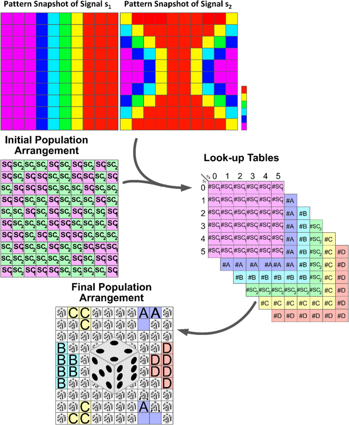 Figure 4