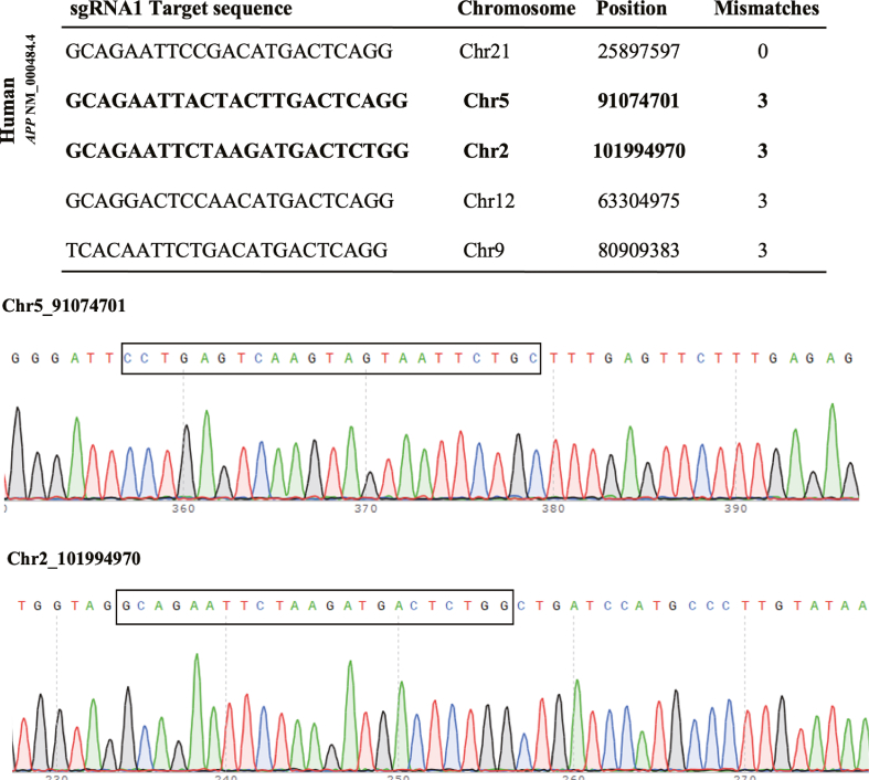 Figure 5