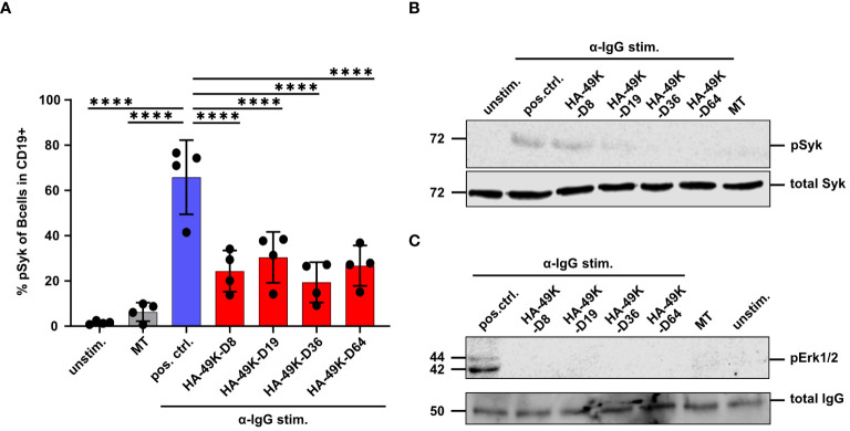 Figure 5