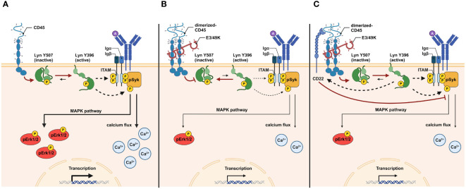 Figure 7