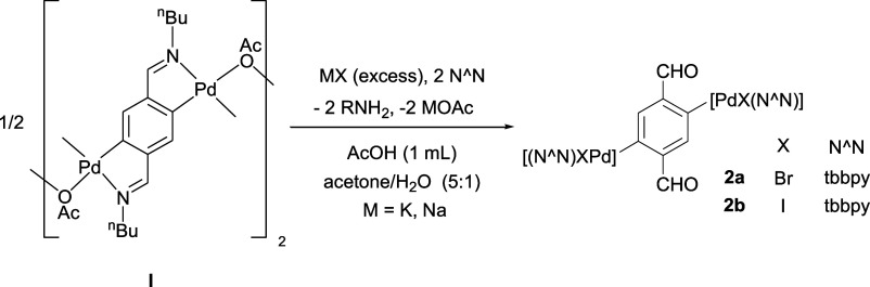 Scheme 2