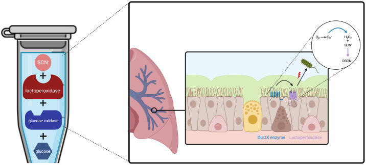 Fig 1
