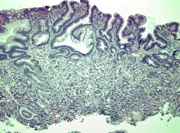 Figure 7