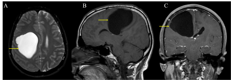 Figure 7