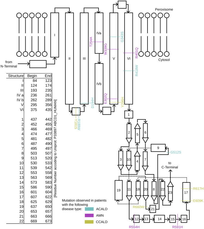FIGURE 2