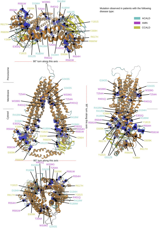 FIGURE 3