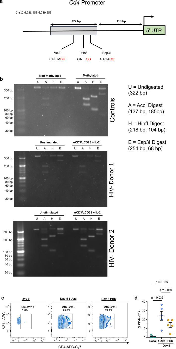 Extended data Figure 9