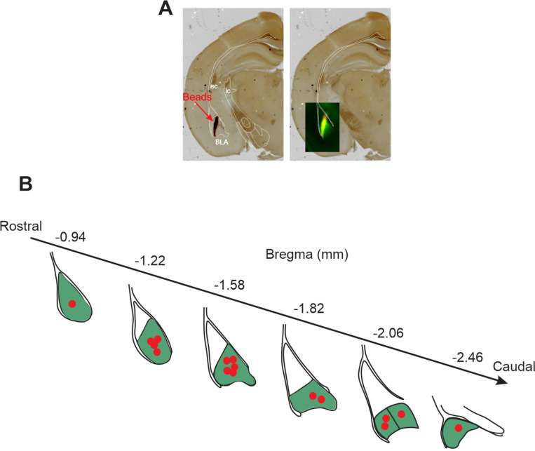 Fig. 1–1