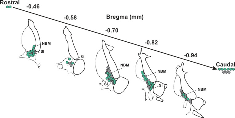 Fig. 1–2