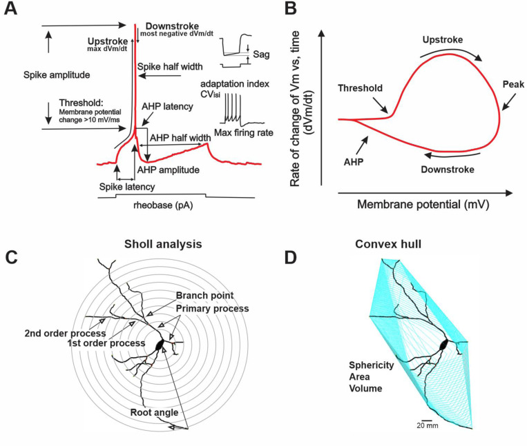 Fig. 2–1