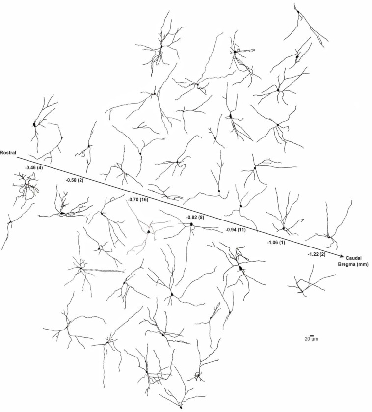 Fig. 3–1