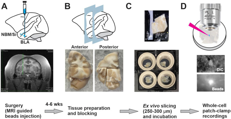 Fig. 6–1