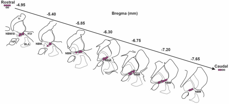 Fig.6–3