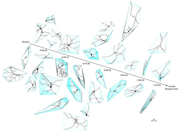 Fig. 9–2