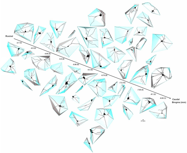 Fig. 9–3