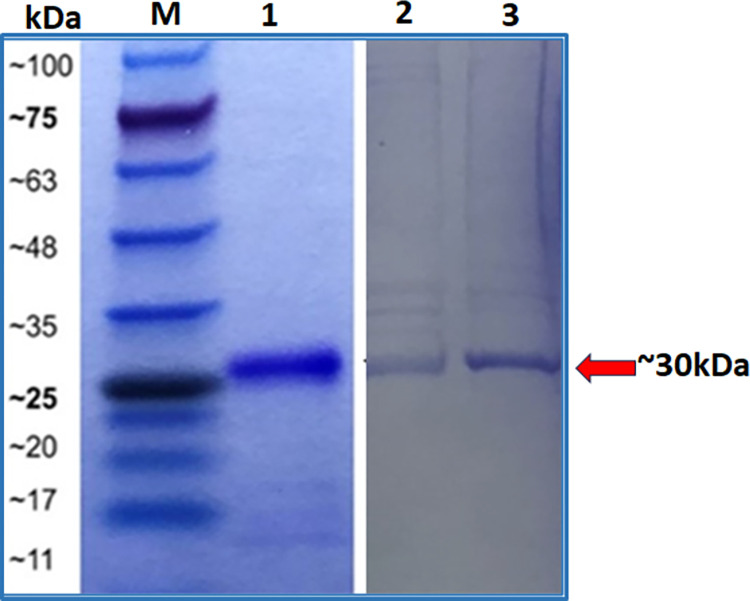Fig 4
