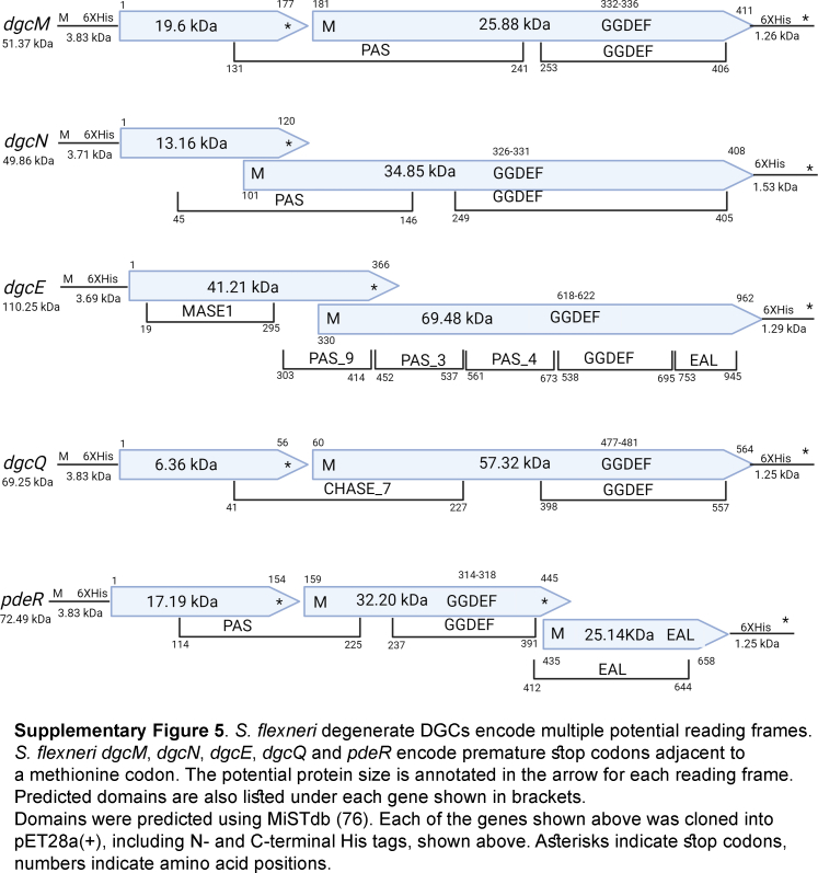 Figure 5