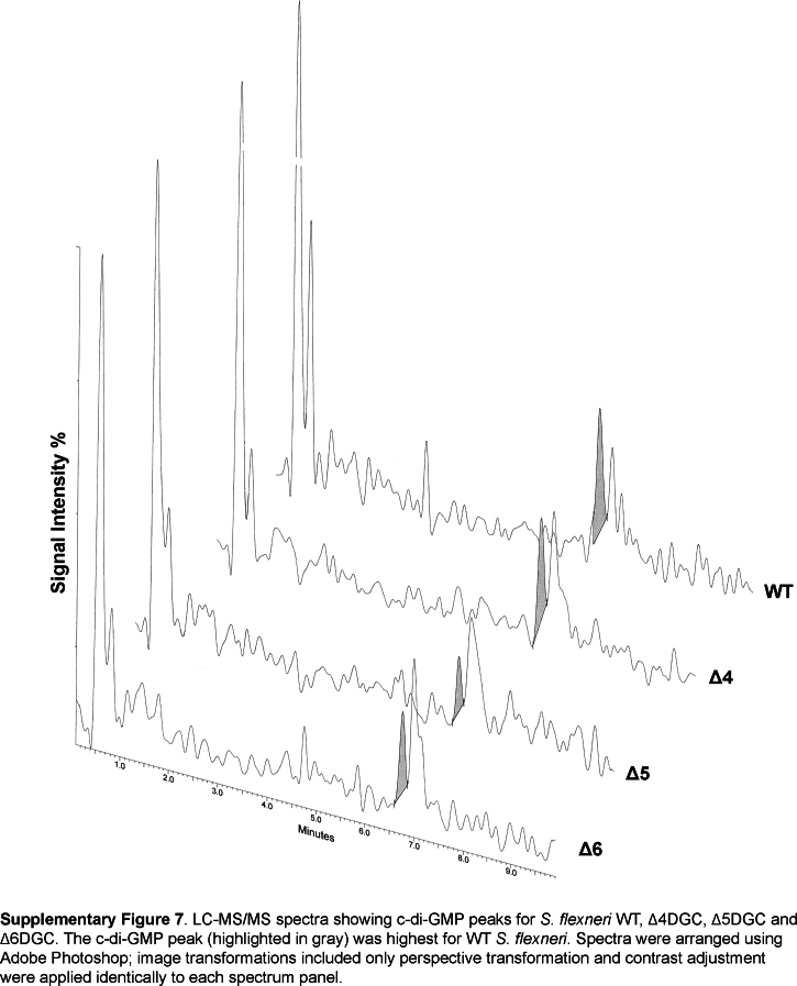 Figure 7
