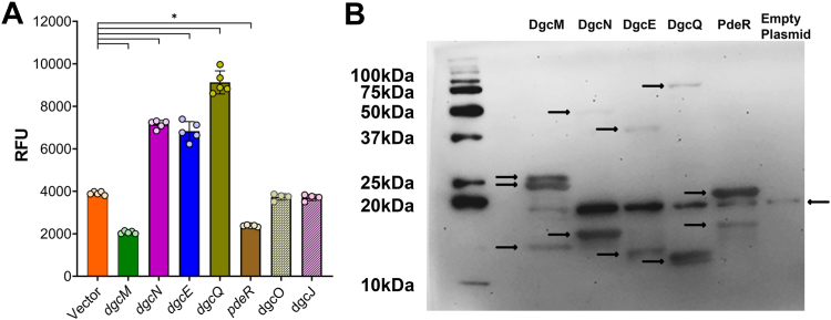 Figure 13