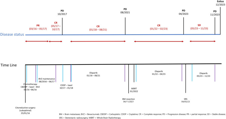 Figure 1