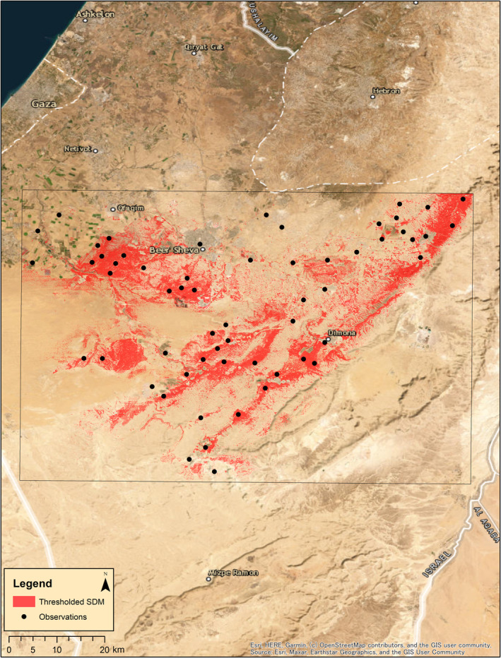 FIGURE 3