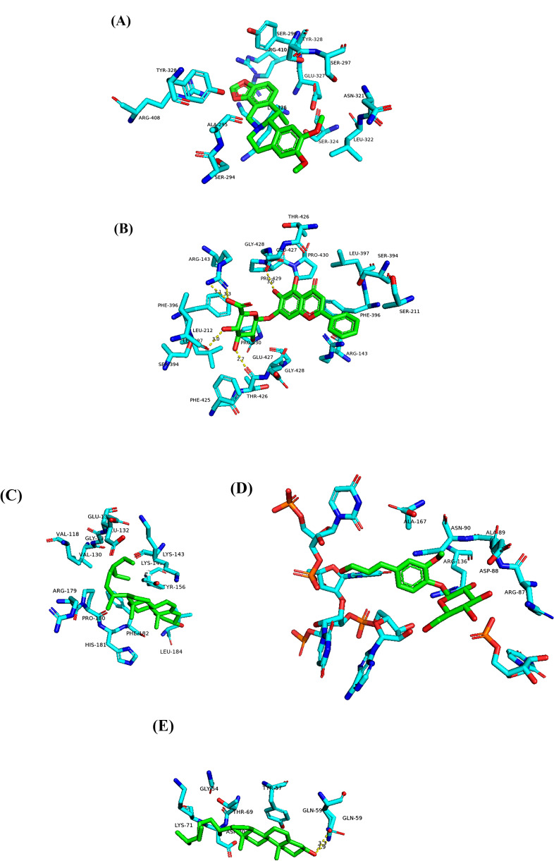 Figure 22