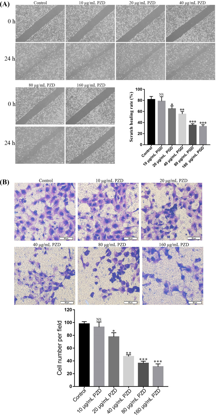 Figure 24