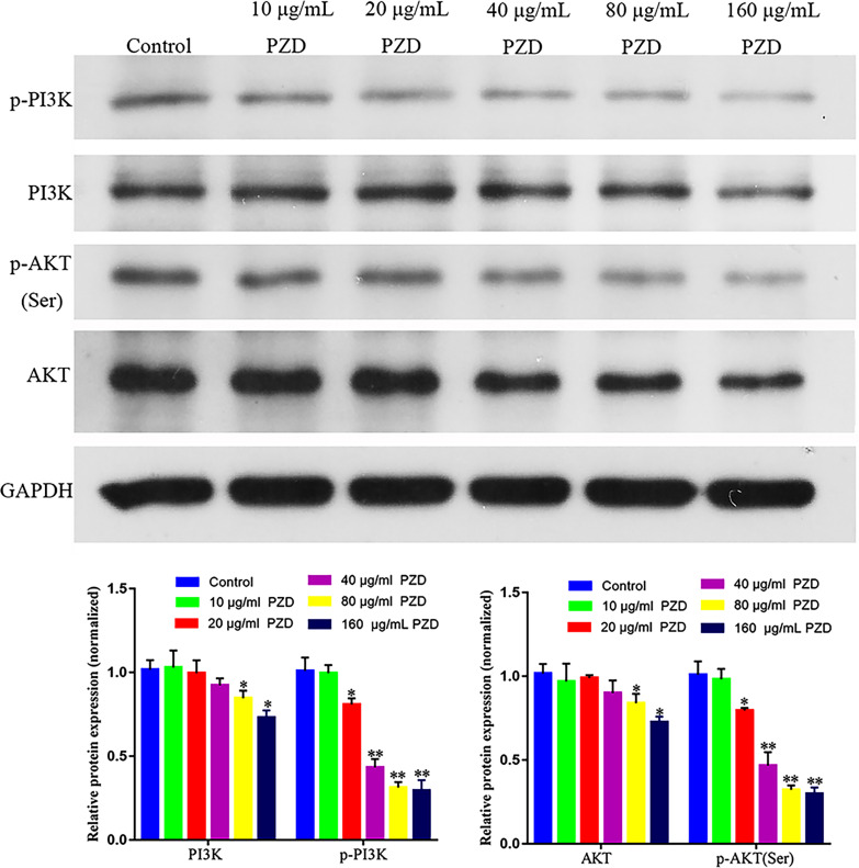 Figure 25