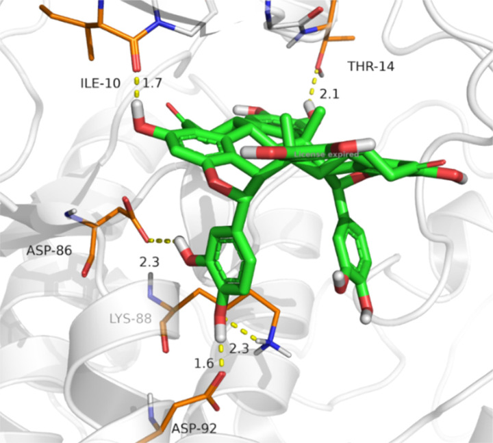 Fig. 8