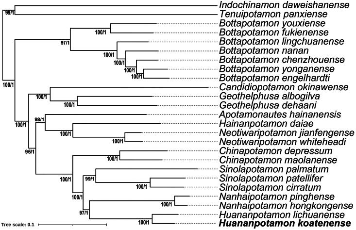 Figure 3