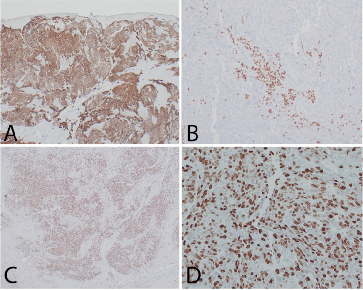 Figure 6