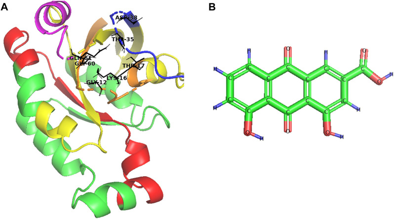 FIGURE 1
