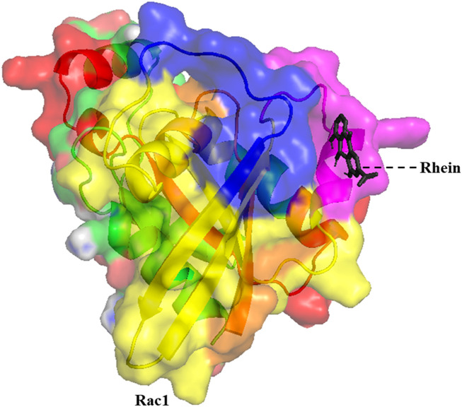 FIGURE 2