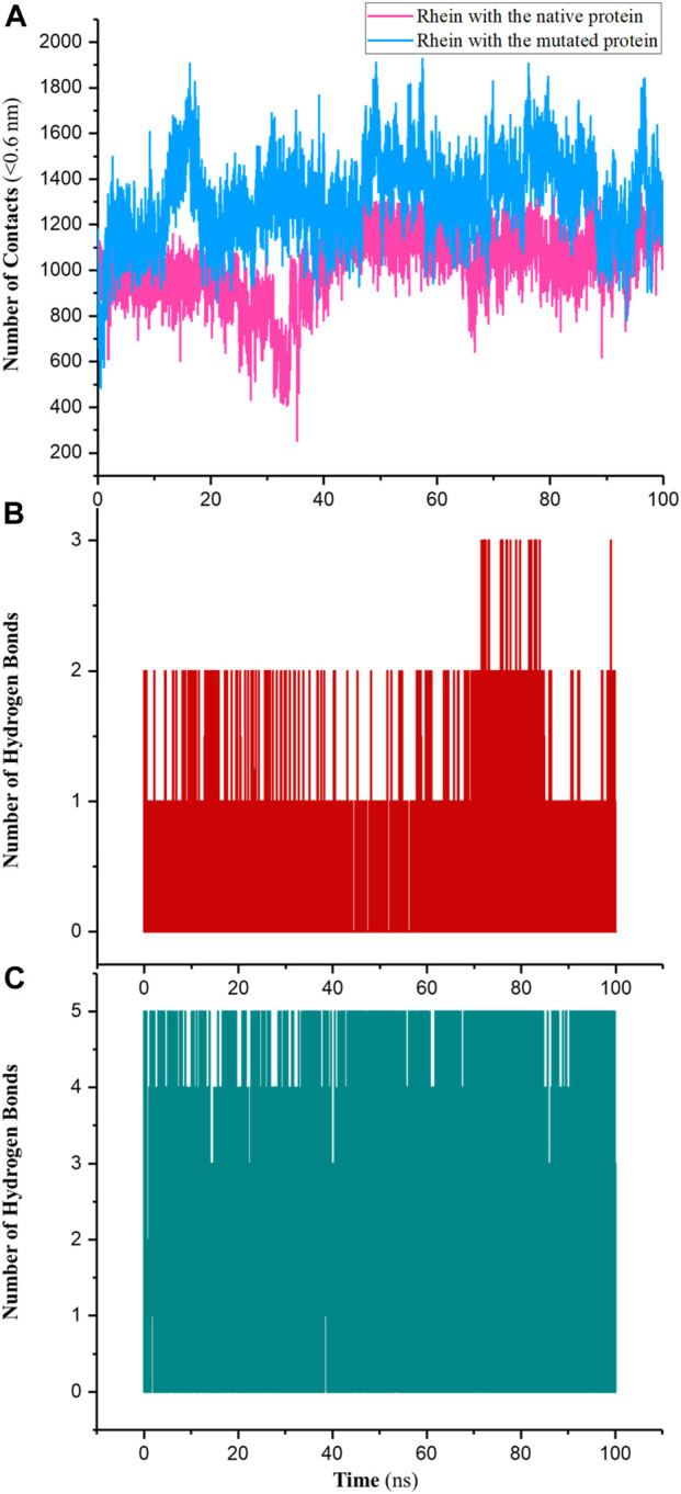 FIGURE 6