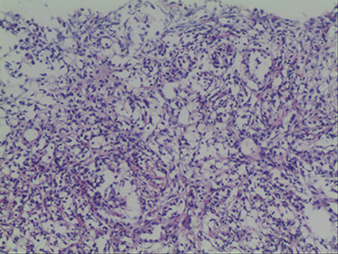 FIGURE 3