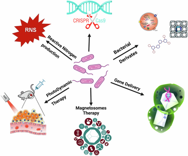 Figure 16