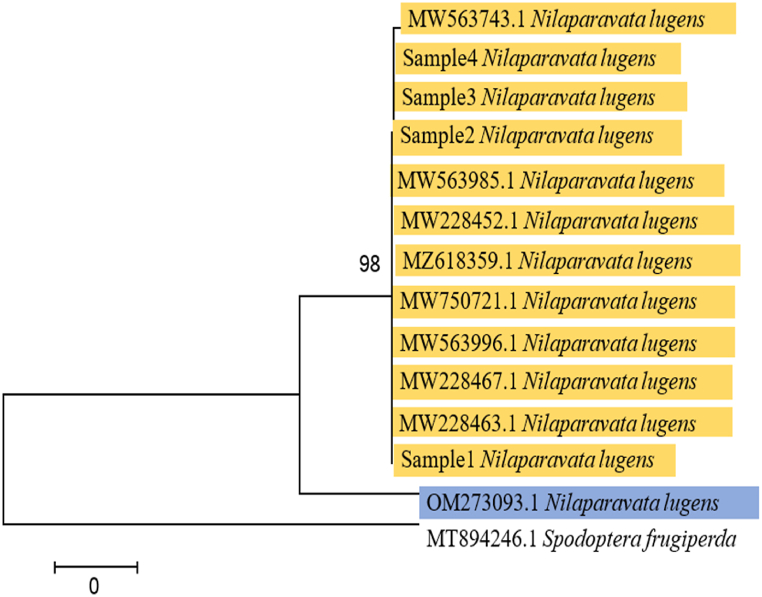 Figure 7