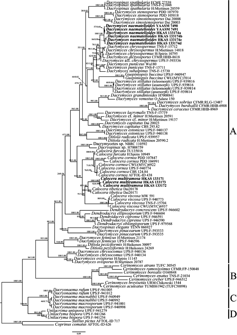 Figure 2