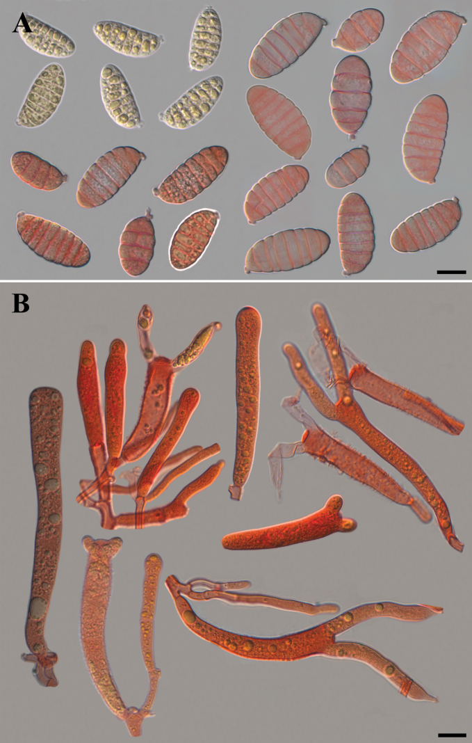 Figure 10