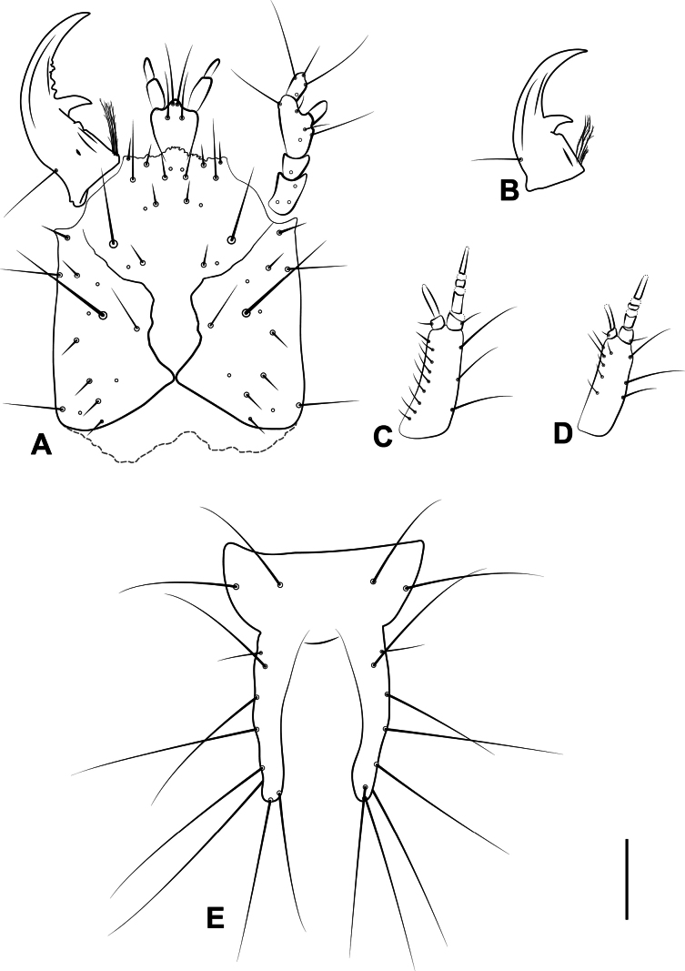Figure 14