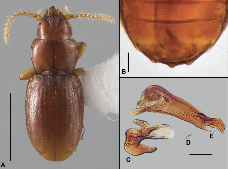 Figure 15