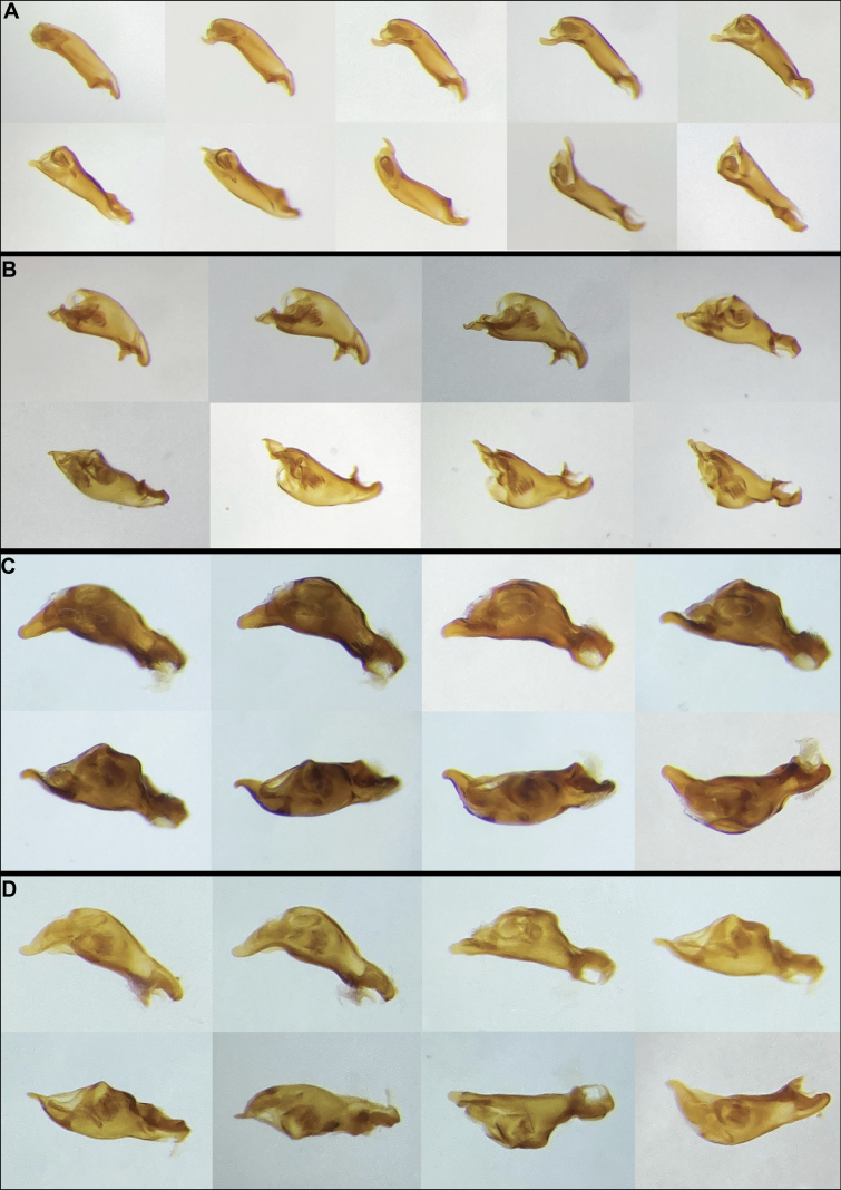 Figure 17