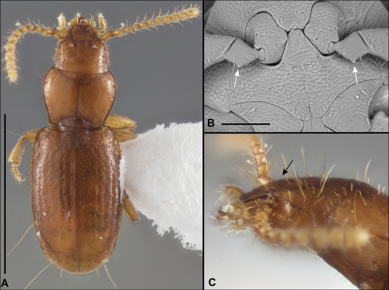 Figure 22