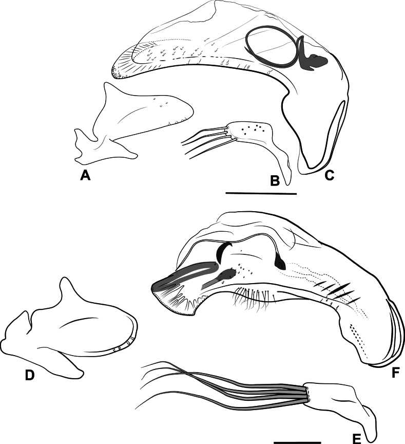 Figure 23