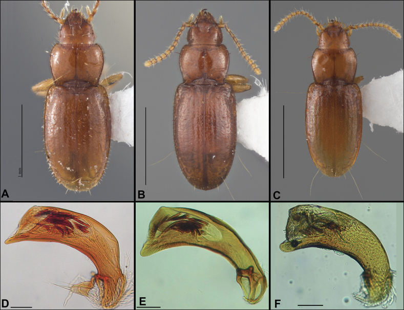 Figure 28