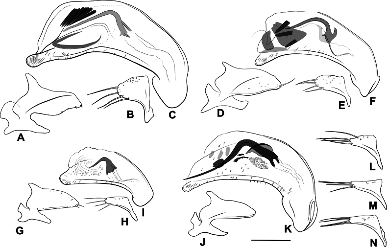 Figure 30