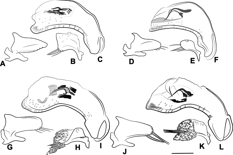 Figure 35