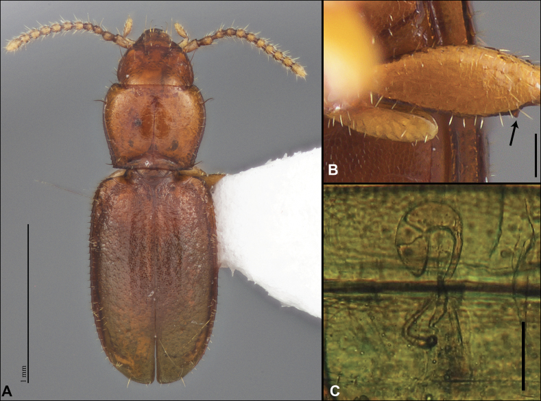 Figure 40