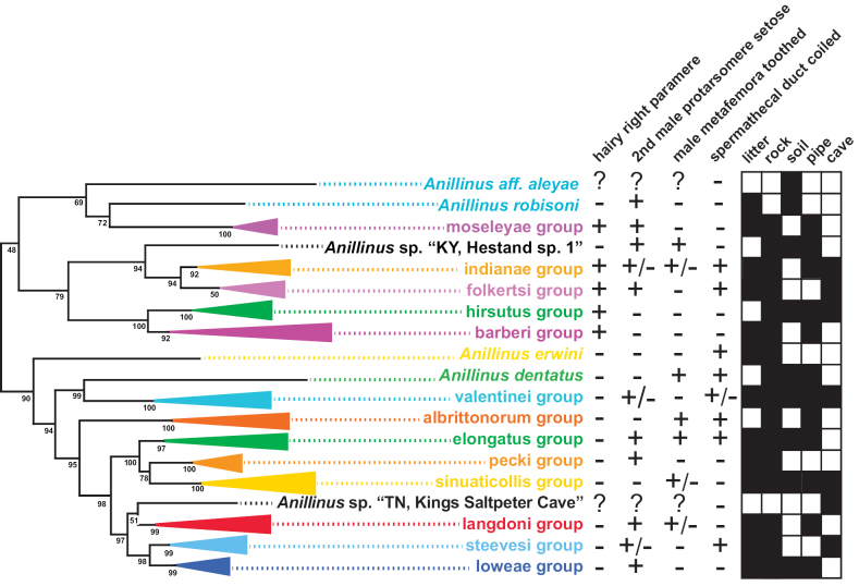Figure 41